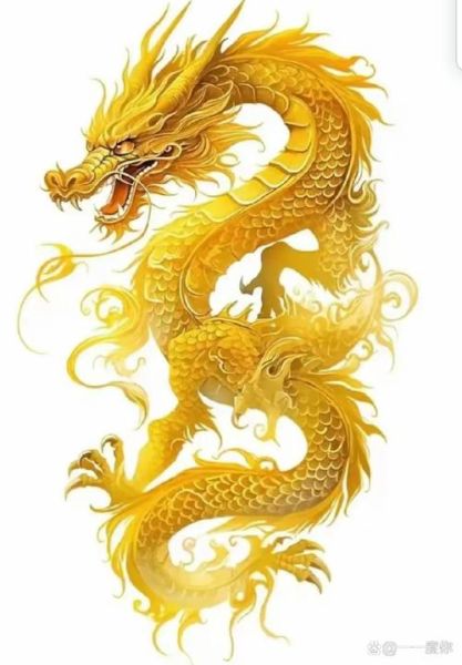 金龙王属什么生肖属相