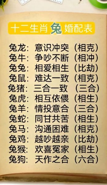 生肖兔的情人属相（属兔的最佳情人属相配对指南）