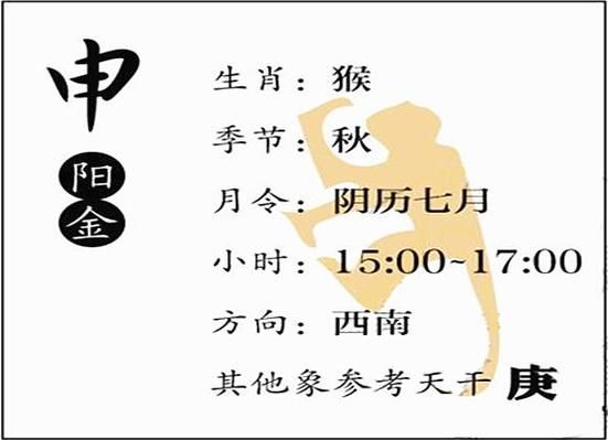 申生肖属相（申生肖属相是什么？新手3分钟看懂）