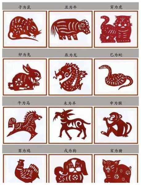 周名轩什么生肖属相（周名轩生肖属相是什么）