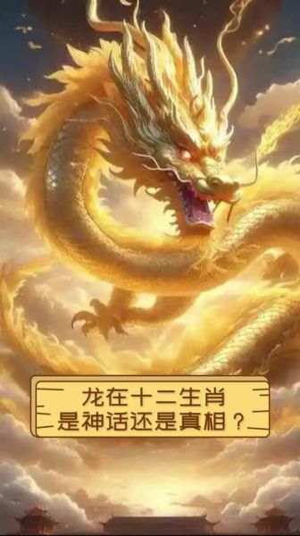 龙在哪里生肖属相