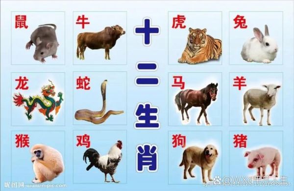 所有的生肖和属相（十二生肖顺序与对照表大全🐭🐮🐯）
