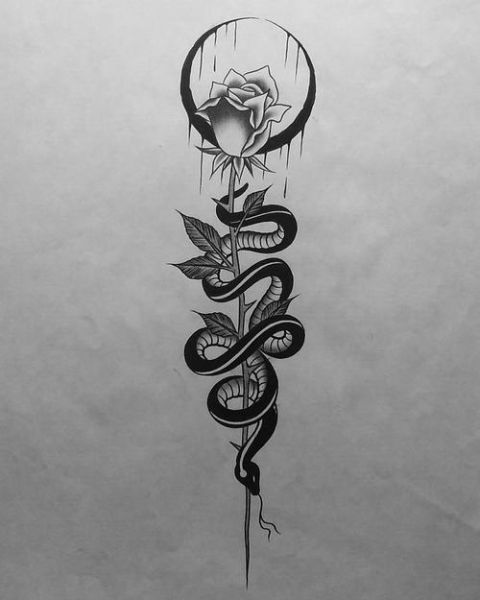 蛇的属相刻的生肖（蛇属相纹身图案怎么选？手把手教你挑）