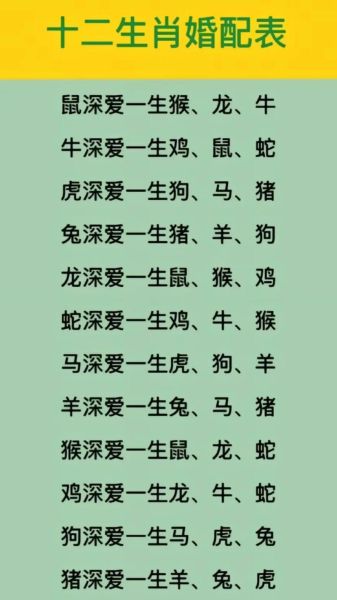 羊和兔孩子生肖属相（羊和兔适合生什么属相的宝宝）