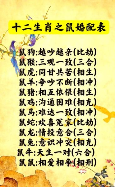 生肖鼠的婚配属相和属相（生肖鼠和什么生肖最配？属相婚配排名表）