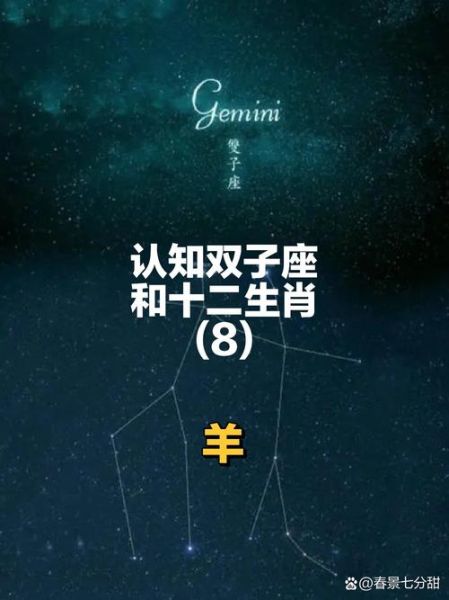 双子属相是什么生肖呢（双子属相是什么生肖）