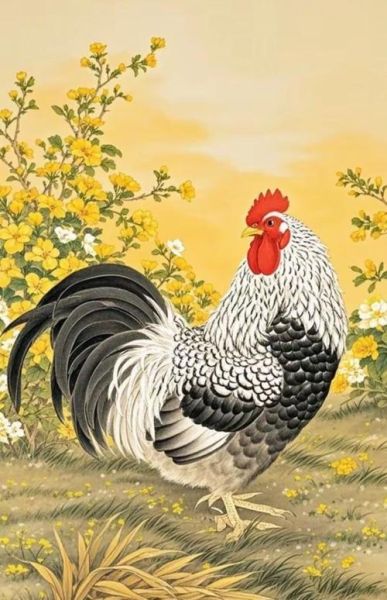 鸡生肖寓意什么属相（鸡生肖寓意什么属相吉利？新手秒懂）