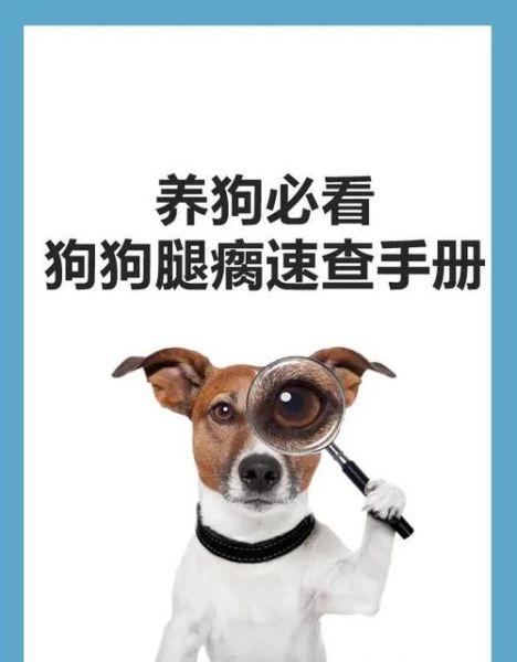 生肖狗属相相克（属狗与哪些属相相克？小白速查版 🐕🚫）