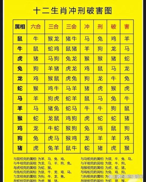 同事生肖属相（哪些同事属相相冲？化解方法全攻略）