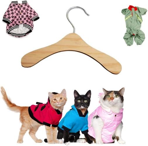 衣架属什么生肖属相