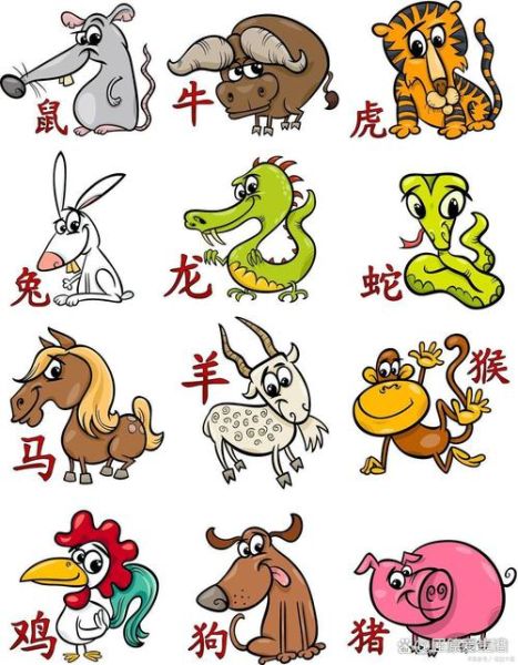 鼠属相生肖性格（鼠属相生肖性格详解（入门版））