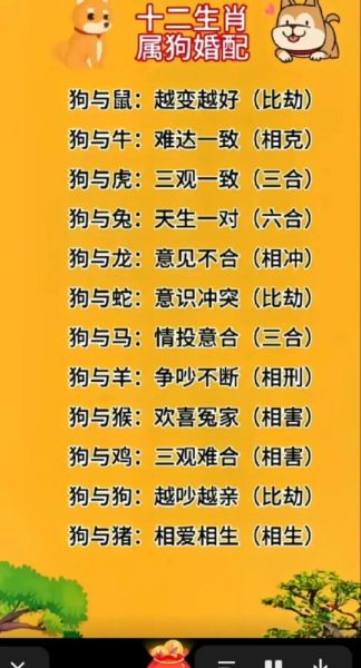 跟狗属相合的生肖（狗生肖和什么生肖最合得来）