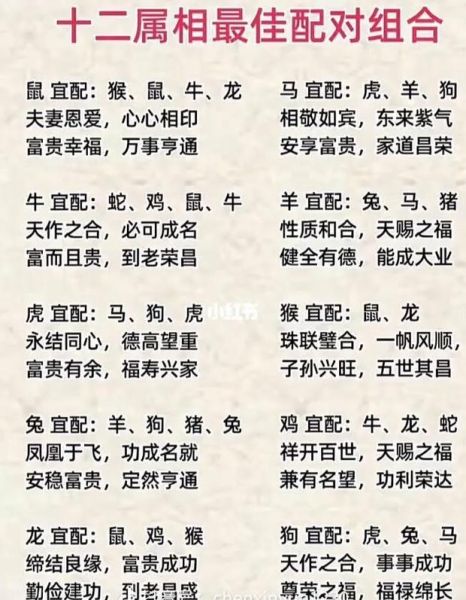 生肖属相做生意搭档（生肖属相做生意合财搭档配对表）