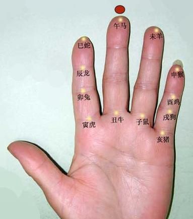 手指算生肖属相年龄（手指算生肖属相年龄完整步骤）