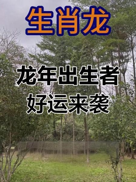 道长预测生肖属相（道长预测属龙的2025运势准吗）