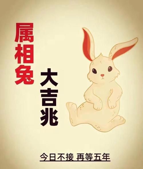 压制生肖兔的属相