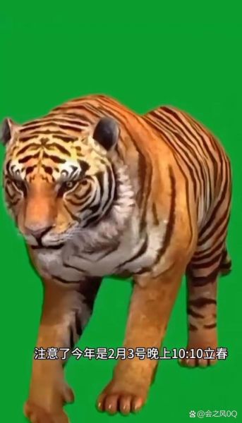 生肖属相绿幕素材（生肖属相绿幕素材下载新手教程）