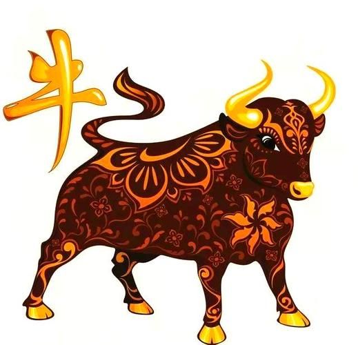 马云生肖属相是什么