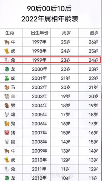 生肖兔克什么属相