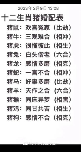生肖猪在乎什么属相婚配（生肖猪最合的属相婚配是谁？）