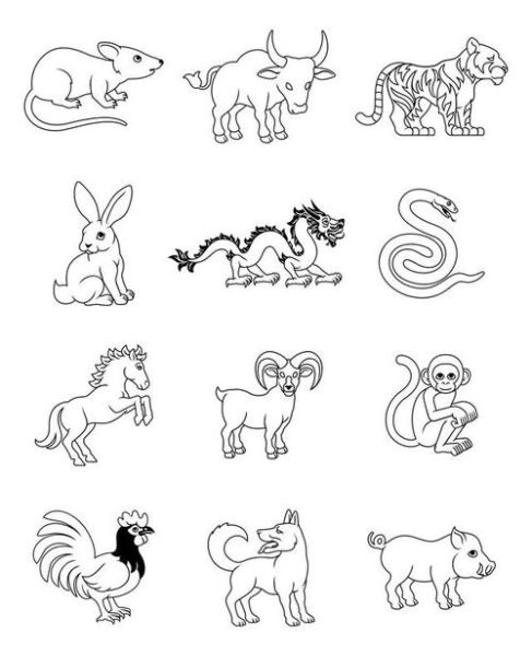 学画十二生肖属相（学画十二生肖属相简笔画入门）