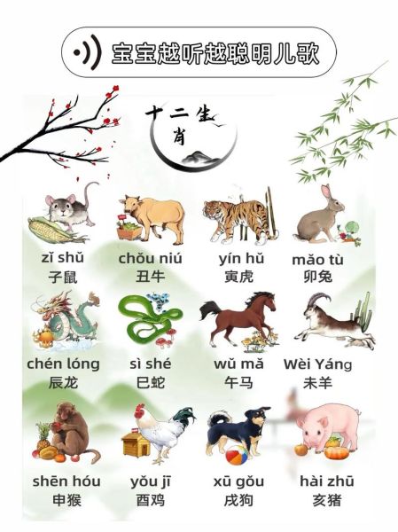 13什么生肖属相（13属什么生肖？一张图秒懂）