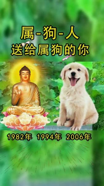 生肖狗跟什么属相配（生肖狗和什么属相最配）