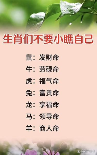 相信生肖属相（相信生肖属相准吗？）