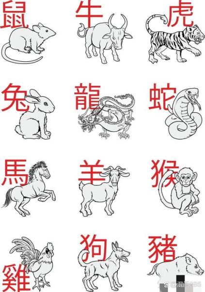 61年属相什么生肖（61年属什么生肖？一查秒懂！）