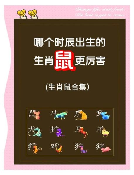 属相老鼠生肖是什么生肖（老鼠生肖是什么生肖？快速看懂）