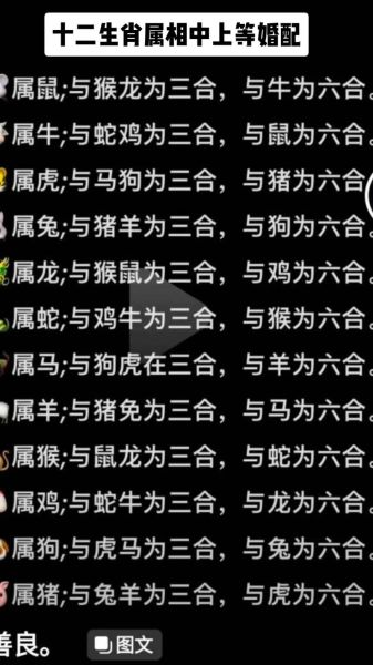 灰色适合的生肖属相（灰色适合什么生肖穿搭？鼠牛龙三属相最招财）