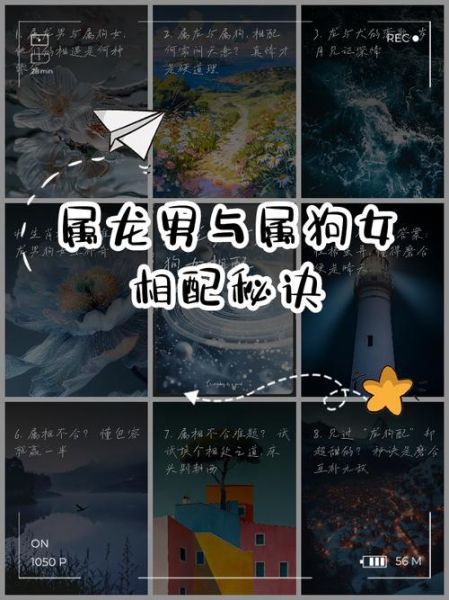 生肖属相狗和龙（属狗和属龙真的相克吗？）