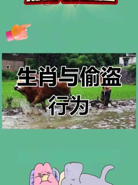 贼头的生肖属相