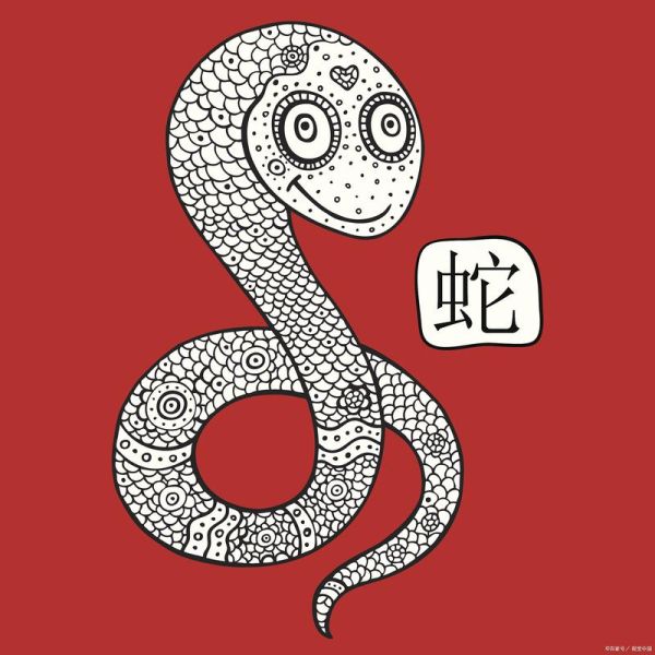 1977年什么生肖属相（1977年属什么生肖？新手秒懂🐍）