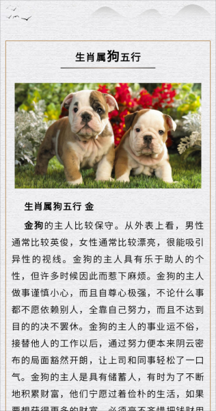 生肖狗属于什么属相（生肖狗属于什么属相？）