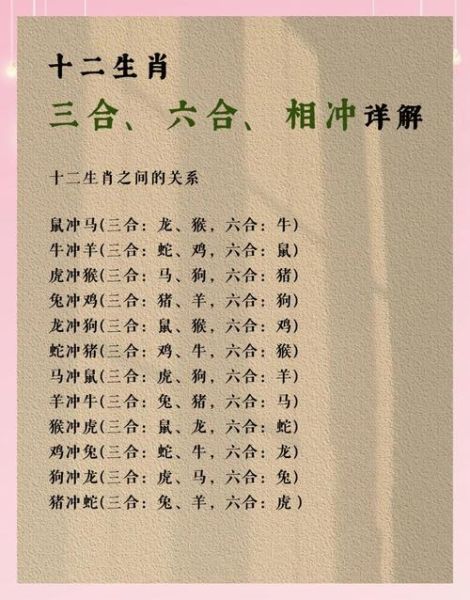 属相跟生肖怎么区分（属相和生肖是一回事吗）