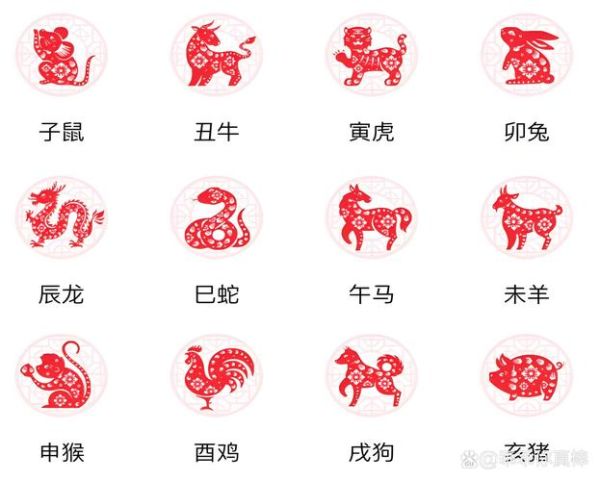 今年35属什么生肖属相（今年35岁属什么生肖？）