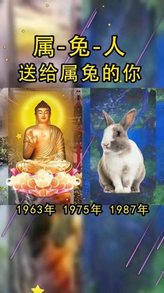 生肖兔子适合属相什么（生肖兔子适合属相什么伴侣）