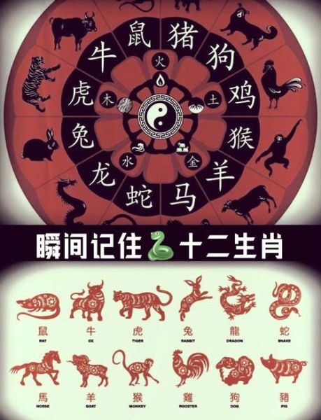 生肖属相排位（生肖属相排位顺序是什么？小白秒懂版）