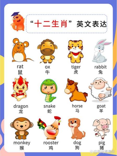 外国生肖属相（外国生肖属相是什么？）