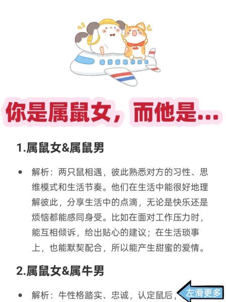 生肖老鼠跟什么属相不合（生肖鼠和什么属相不合？新手避坑指南）
