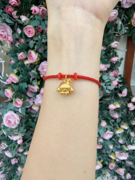 生肖狗年应该戴什么属相（生肖狗年戴什么属相提升运势）