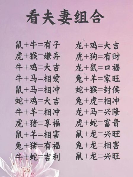 龙生肖配对属相婚配（龙和什么属相最配婚配表）