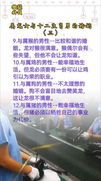 属龙女属相最配什么生肖（属龙女和哪个属相最配）