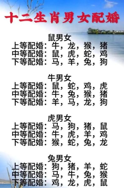 生肖鼠配对什么属相好（生肖鼠最佳婚配属相是什么）