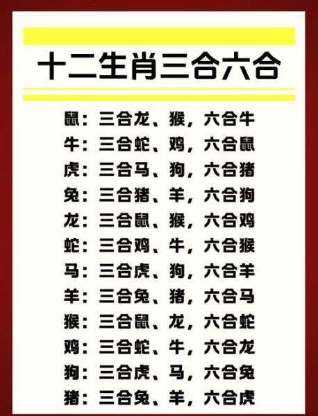 生肖属相合不合图（十二生肖属相合不合图解📊）