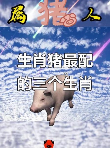 生肖猪与什么属相（生肖猪与什么属相最配？）