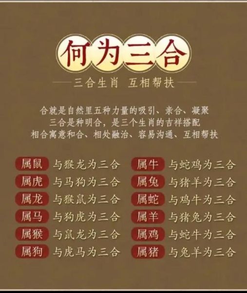 属相的三盒生肖（属相的三合生肖是什么？小白一看就懂的合局指南）