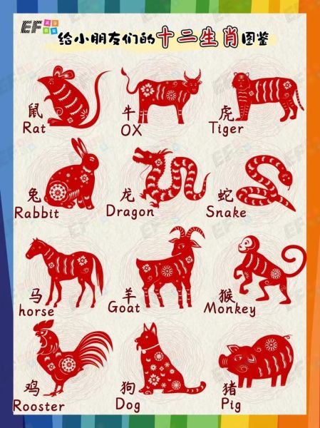 属相生肖的英语（生肖怎么用英语说）