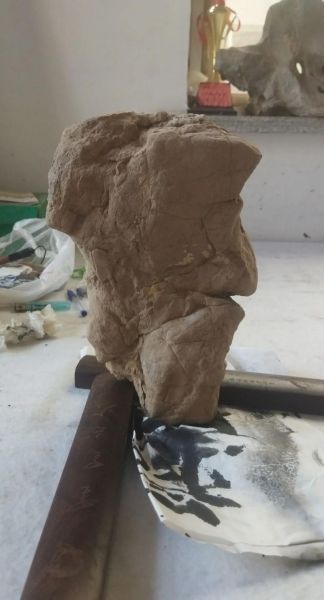 兔属相生肖石雕（兔属相石雕风水摆件怎么选？小白避坑指南）